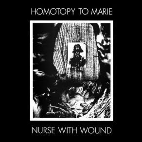 Homotopy To Marie album cover