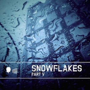 Snowflakes V album cover
