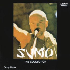 The Collection album cover