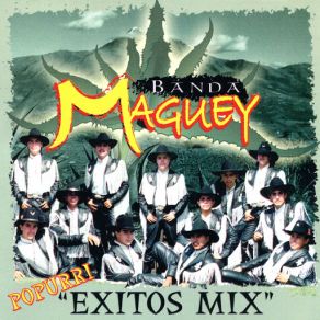 Popurri Exitos Mix album cover