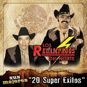 Sus Mejores - 20 Super Exitos album cover