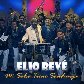 Mi Salsa Tiene Sandunga album cover