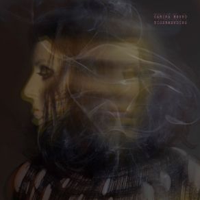 Tigermending album cover