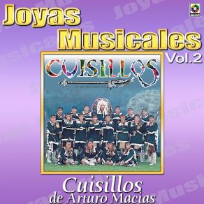 Al Ritmo De Vol. 2 album cover