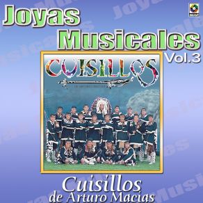 Al Ritmo De Vol. 3 album cover