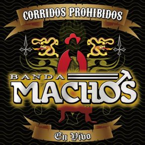 Corridos Prohibidos En Vivo album cover
