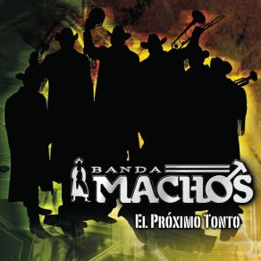 El Próximo Tonto album cover