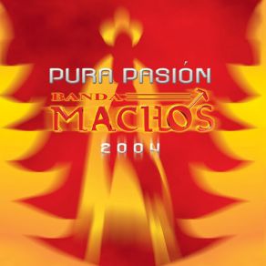 Pura Pasión album cover