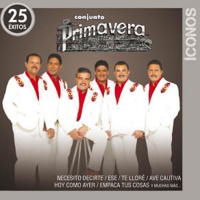 Íconos 25 Éxitos (CD1) album cover