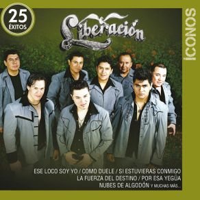 Íconos 25 Éxitos (CD1) album cover
