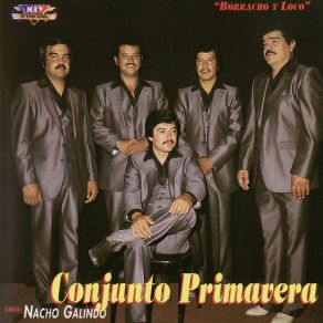 Conjunto Primavera, Vol. 1 album cover