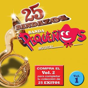 25 Bandazos De Pequeños Musical (Vol. 1) (USA) album cover