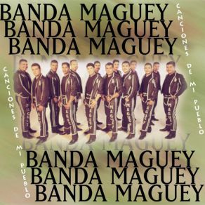 Canciones De Mi Pueblo album cover