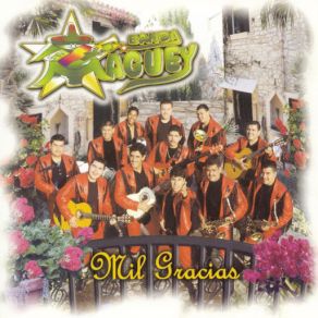 Mil Gracias album cover