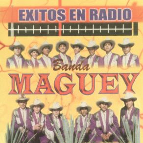 Exitos En Radio (CD1) album cover