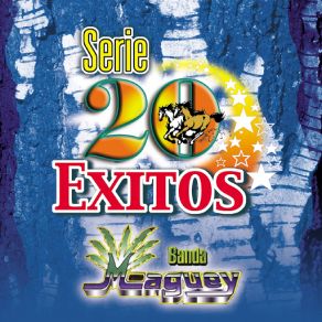 Serie 20 Exitos album cover