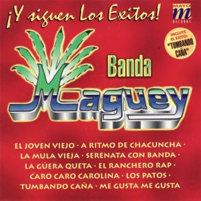 Y Siguen Los Exitos album cover