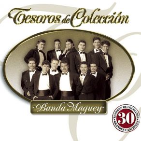 Tesoros De Colección (CD1) album cover