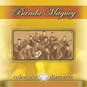 Coleccion Diamante album cover