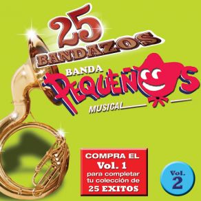 25 Bandazos De Pequeños Musical (Vol. 2) (USA) album cover