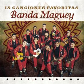 15 Canciones Favoritas album cover