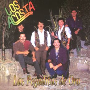 Las Pegaditas De Oro album cover
