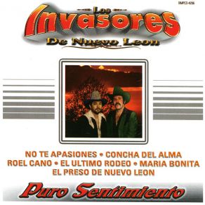 Puro Sentimiento album cover