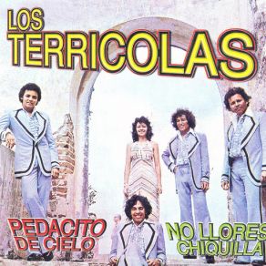 Pedacito De Cielo album cover