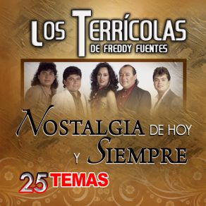 25 Exitos album cover