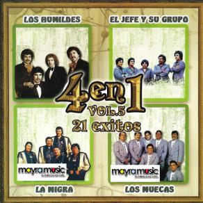 4 En 1 Vol. 5 album cover
