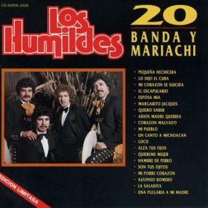 20 Banda Y Mariachi album cover