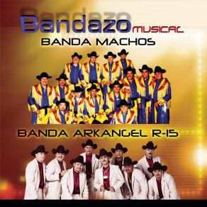 Bandazo Musical album cover