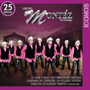 Íconos 25 Éxitos (CD1) album cover