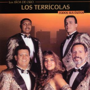 Los Años De Oro - Todos Sus Éxitos album cover