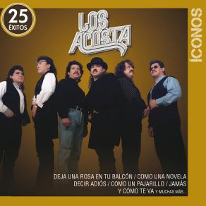 Íconos 25 Éxitos (CD2) album cover