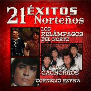 21 Exitos Nortenos album cover