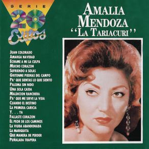 La Serie De Los 20 Éxitos album cover