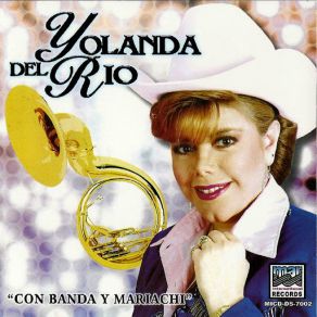 Con Banda Y Mariachi album cover