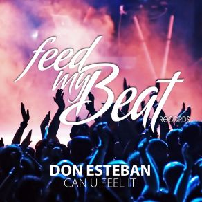 Can U Feel It album cover
