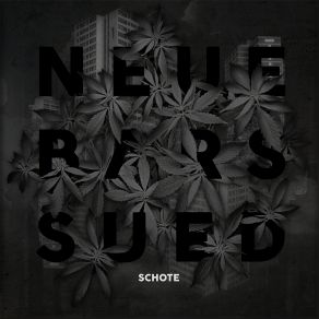 Neue Bars Sued album cover