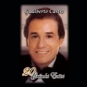 20 Grandes Exitos album cover