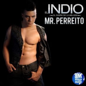 Mr. Perreito album cover