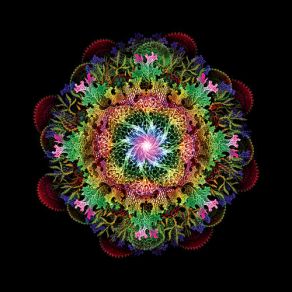 Gravity I album cover