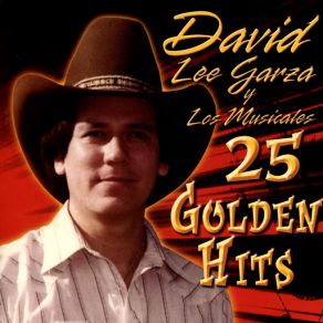 25 Golden Hits album cover