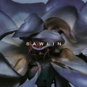 Ursprung album cover