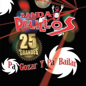 Pa' Gozar Y Pa' Bailar album cover