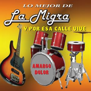Lo Mejor De La Migra album cover