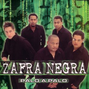 Palo A Palo album cover