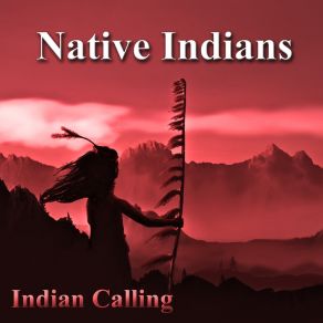 Native Indians (Native American Music) album cover