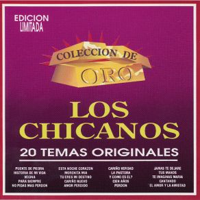 Coleccion De Oro album cover